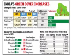  India Reports Growth in Green Cover Amid Concerns