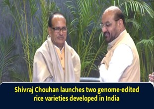 India Launches First Genome-Edited Rice Varieties