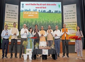 India Unveils First Genome-Edited Rice Varieties