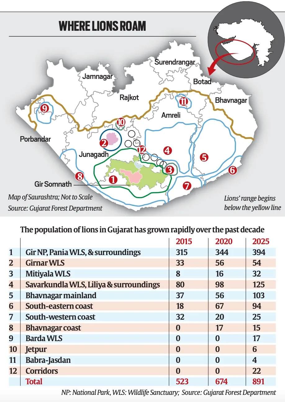OUT OF THE WOODS IN GUJARAT: WHY ASIATIC LION'S FUTURE CAN'T BE SECURED BY NUMBERS ALONE