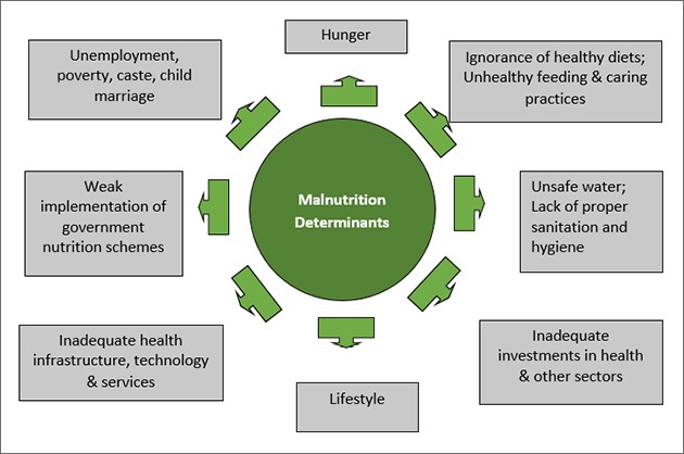 India's Urban Health Crisis: The Overnutrition Surge