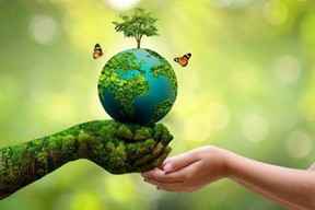 ECOLOGY IS THE WORLD’S PERMANENT ECONOMY
