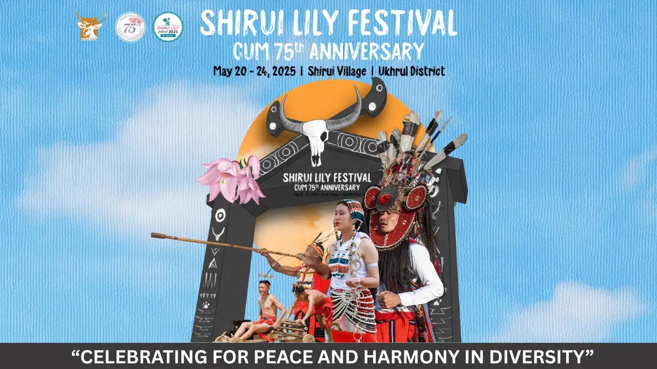 Shirui Lily Festival Returns Amid Fragile Peace