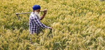 Government Plans Certification System for Natural Farming