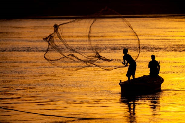Overfishing in India: Crisis, Collapse, and Reform Paths