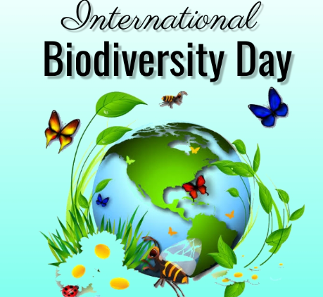 Urban Biodiversity Under Threat: Preserving Green Spaces for Sustainable Cities