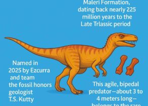Maleriraptor kuttyi: India's Oldest Carnivorous Dinosaur