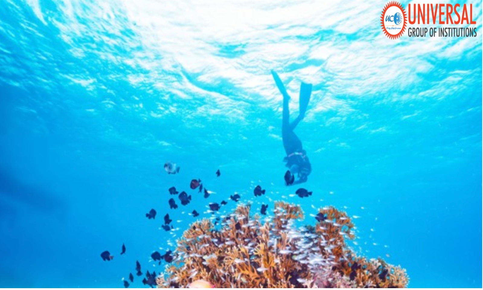France-Brazil Blue NDC Challenge: Global Ocean Action