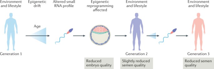 Declining Fertility and AI Regulation Demand Attention