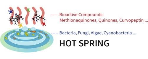 HOT SPRINGS REVEAL NEW ANTIBIOTIC POTENTIAL