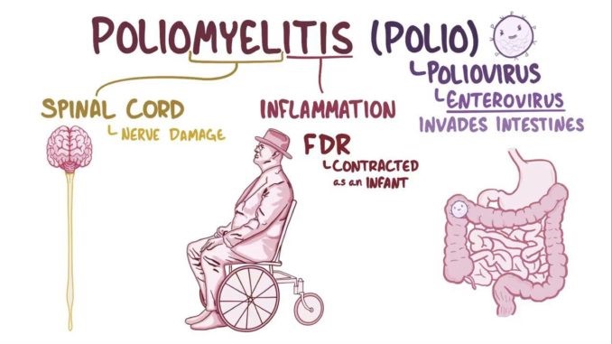 India Plans Phased Exit from Polio Surveillance Network