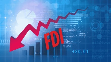 Sharp Decline in Net FDI Raises Concerns