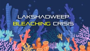 Lakshadweep Coral Reefs Decline by 50% in 24 Years
