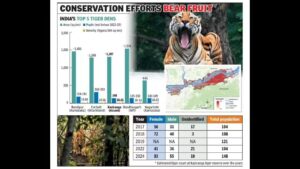 Kaziranga National Park Achieves 3rd Highest Tiger Density