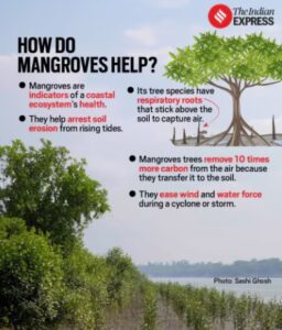 M.S. Swaminathan: Father of India’s Green Revolution