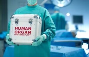CERT Fixes AIIMS Website Organ Donor Data Leak