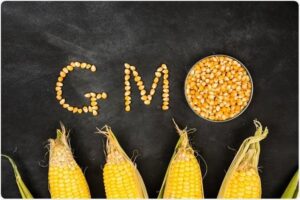 US Pressure Reveals Gaps in GM Policy Framework