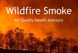 Wildfires Impact Global Air Quality Trends