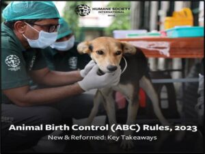 National Animal Birth Control Strategy 2025