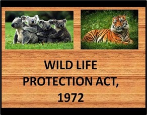 Lok Sabha Passes Historic Wildlife Bill