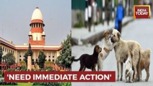 Supreme Court's New Rules on Stray Dogs in India
