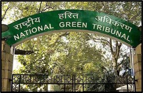NGT Flags Illegal Tree Felling on Haryana Land