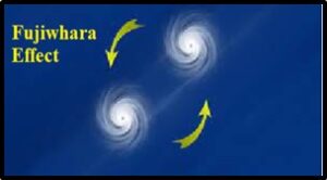 Fujiwhara Effect Observed in Tropical Cyclones
