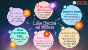 How Stars Evolve: From Birth to Supernova