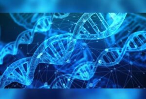 SC DNA Evidence Guidelines: Ensuring Integrity