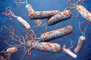 Cholera Outbreak in Chad Claims 113 Lives 2025
