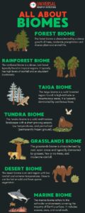 Biomes, Environment, Ecology, UPSC, GS Paper 3, Types of Biomes, Forest Biome, Rainforest, Tundra, Desert, Grassland, Marine Biome, Taiga, Environment and Ecology, Exam Preparation