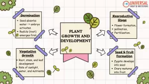 Plant Growth & Development Stages | GS 3, Biology
