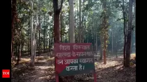 SC Orders Sanctuary Status for Saranda Forest