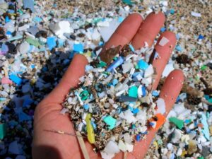 Microplastic Threat in Goa Estuaries