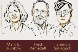 Immune System Discoveries Win Nobel Prize 2025