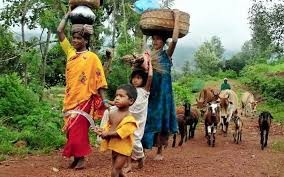 Voluntary Resettlement for Forest Dwellers Matters