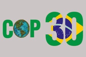 Adaptation Priorities for COP30 Climate Summit