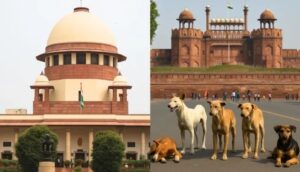 Supreme Court Orders Stray Dog Removal