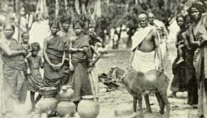 Govt Rejects New Denotified Tribes List