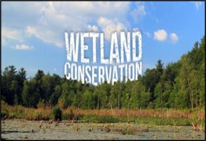 India's Wetlands Conservation: Ramsar Growth & Life