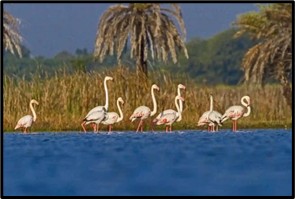 India Adds 2 Ramsar Wetlands 2026