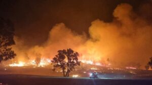 Victoria Bushfires: Disaster Declared Now