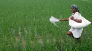 E-Bill: Digital Fertiliser Subsidy Fix