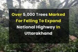 Deodar Forests Crisis 2026