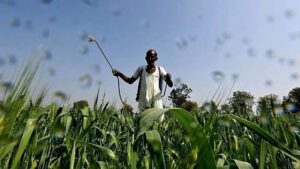 India Tops Global Pesticide Toxicity Rankings