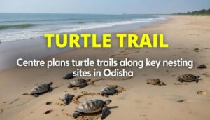 Turtle Trails Odisha: Conservation Fears Rise