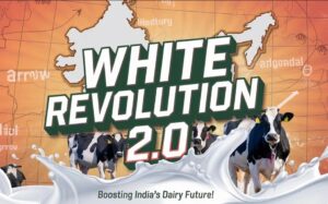 White Rev 2.0: Milk Surge to 1007L kg