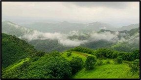 Centre Revamps Forest Rights Mechanism