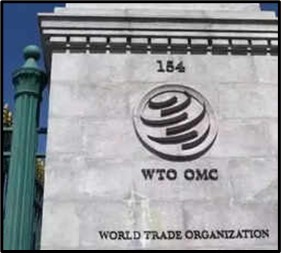 India Opposes WTO E-Transmission Duty Ban