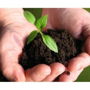 Fertiliser Reforms for Food Security